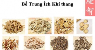 Bài thuốc "Bổ trung ích khí thang" và công dụng phục hồi sa tử cung đặc biệt hiệu quả